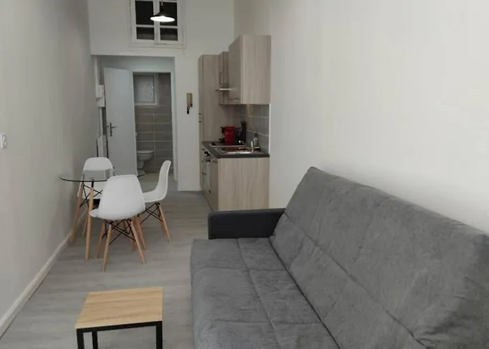 Saint Etienne Studio Lot 4 Lejlighed Toulouse